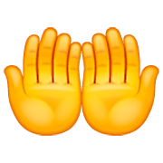 🤲 Emoji Handflächen nach oben WhatsApp 2.22.8.79.