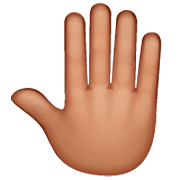 🤚🏽 Emoji erhobene Hand von hinten: mittlere Hautfarbe WhatsApp 2.22.8.79.
