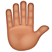 ✋🏽 Emoji erhobene Hand: mittlere Hautfarbe WhatsApp 2.22.8.79.