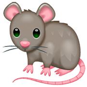 Émoji 🐀 Rat sur WhatsApp 2.22.8.79.