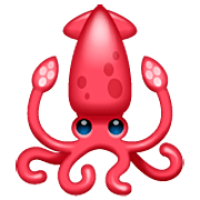 Emoji 🦑 Calamaro su WhatsApp 2.22.8.79.