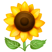 🌻 Emoji Sonnenblume WhatsApp 2.22.8.79.