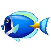 Emoji 🐠 Pesce Tropicale su WhatsApp 2.22.8.79.