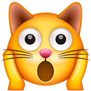 Emoji 🙀 Gatto Esterrefatto su WhatsApp 2.22.8.79.