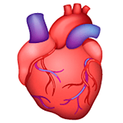 Corazón anatómico WhatsApp 2.23.2.72.