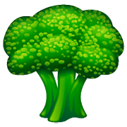 Emoji 🥦 Broccoli su WhatsApp 2.23.2.72.