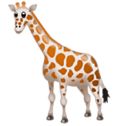 Emoji 🦒 Giraffa su WhatsApp 2.23.2.72.