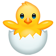 Emoji 🐣 Pulcino Che Nasce su WhatsApp 2.23.2.72.