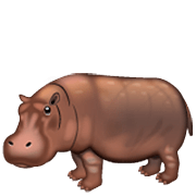 🦛 Emoji Hipopótamo na WhatsApp 2.23.2.72.