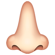 Emoji 👃🏻 Naso: Carnagione Chiara su WhatsApp 2.23.2.72.