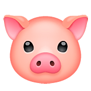Émoji 🐷 Tête De Cochon sur WhatsApp 2.23.2.72.