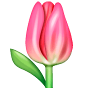 Émoji 🌷 Tulipe sur WhatsApp 2.23.2.72.