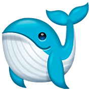 Émoji 🐋 Baleine sur WhatsApp 2.23.2.72.